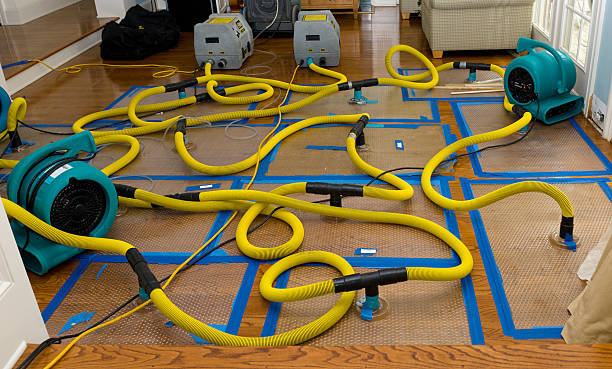 Professional Water Damage Repair technician working in Amherst, VA