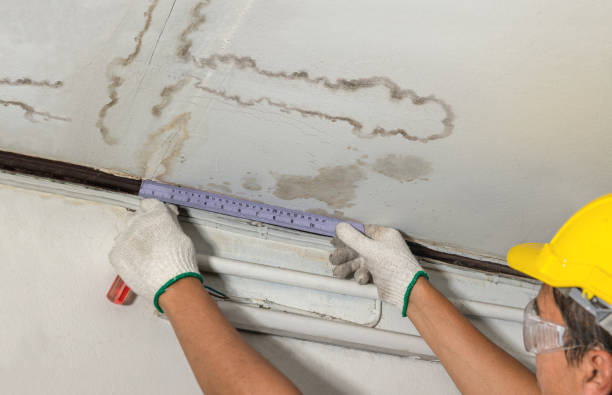 Affordable Water Damage Repair solutions in Amherst, VA